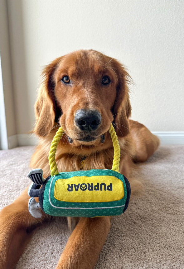 [New] PUPROAR Golf Squeaky Plush Dog Toy