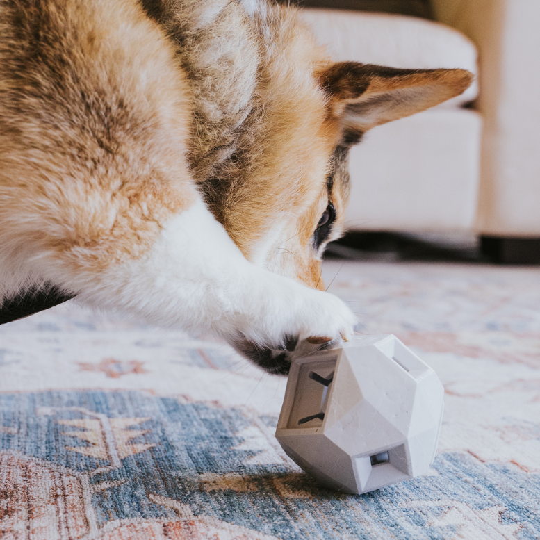 [New] The Odin Treat Dispensing Toy