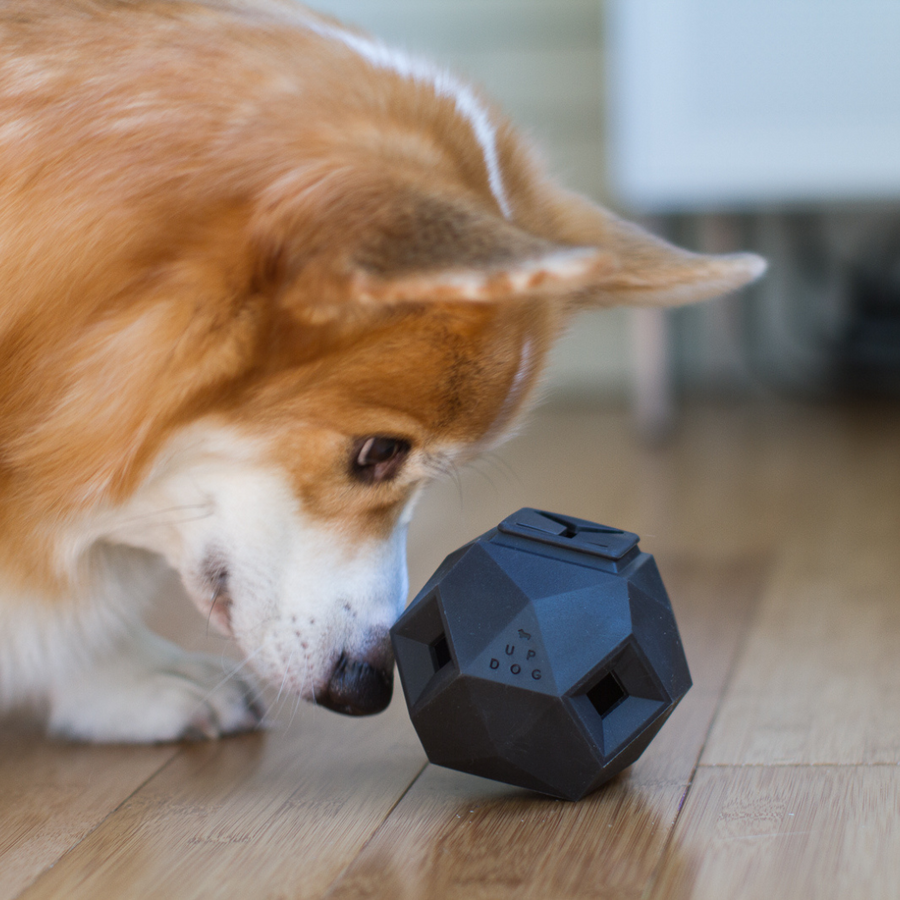 [New] The Odin Treat Dispensing Toy