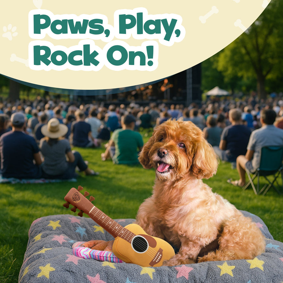 [New] PUPROAR Guitar Squeaky Plush Dog Toy