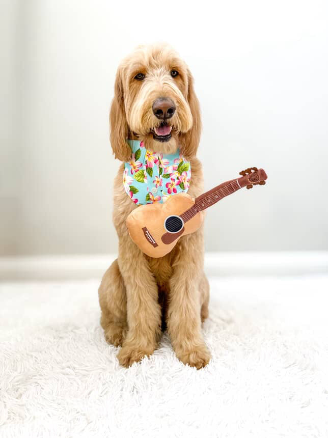 [New] PUPROAR Guitar Squeaky Plush Dog Toy
