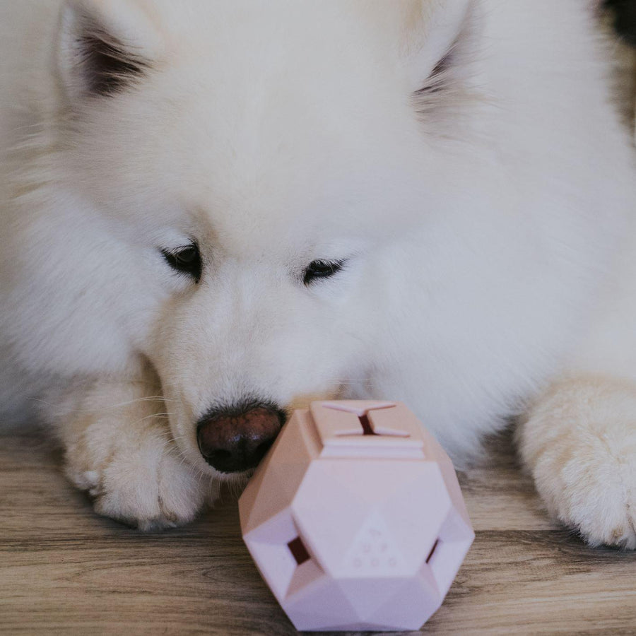 [New] The Odin Treat Dispensing Toy