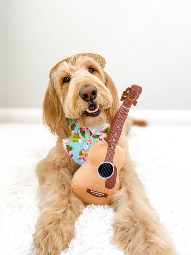 [New] PUPROAR Guitar Squeaky Plush Dog Toy