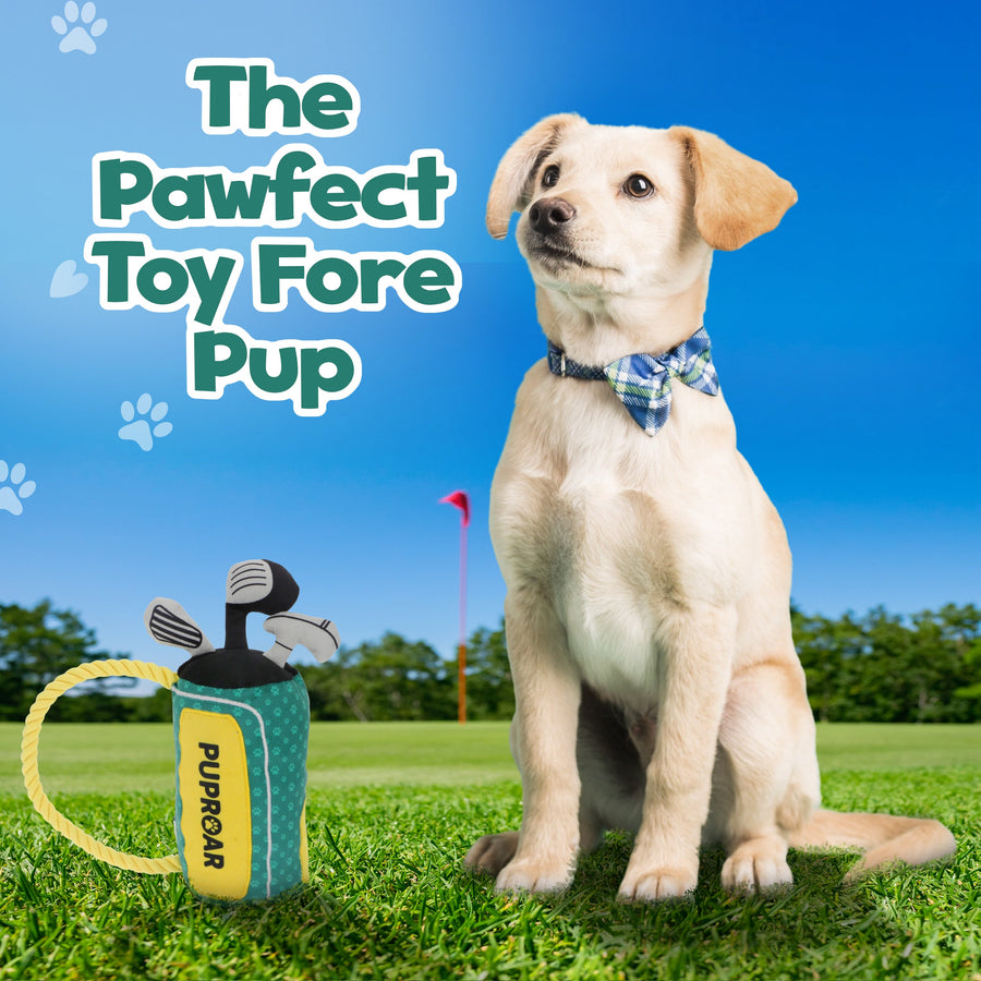 [New] PUPROAR Golf Squeaky Plush Dog Toy