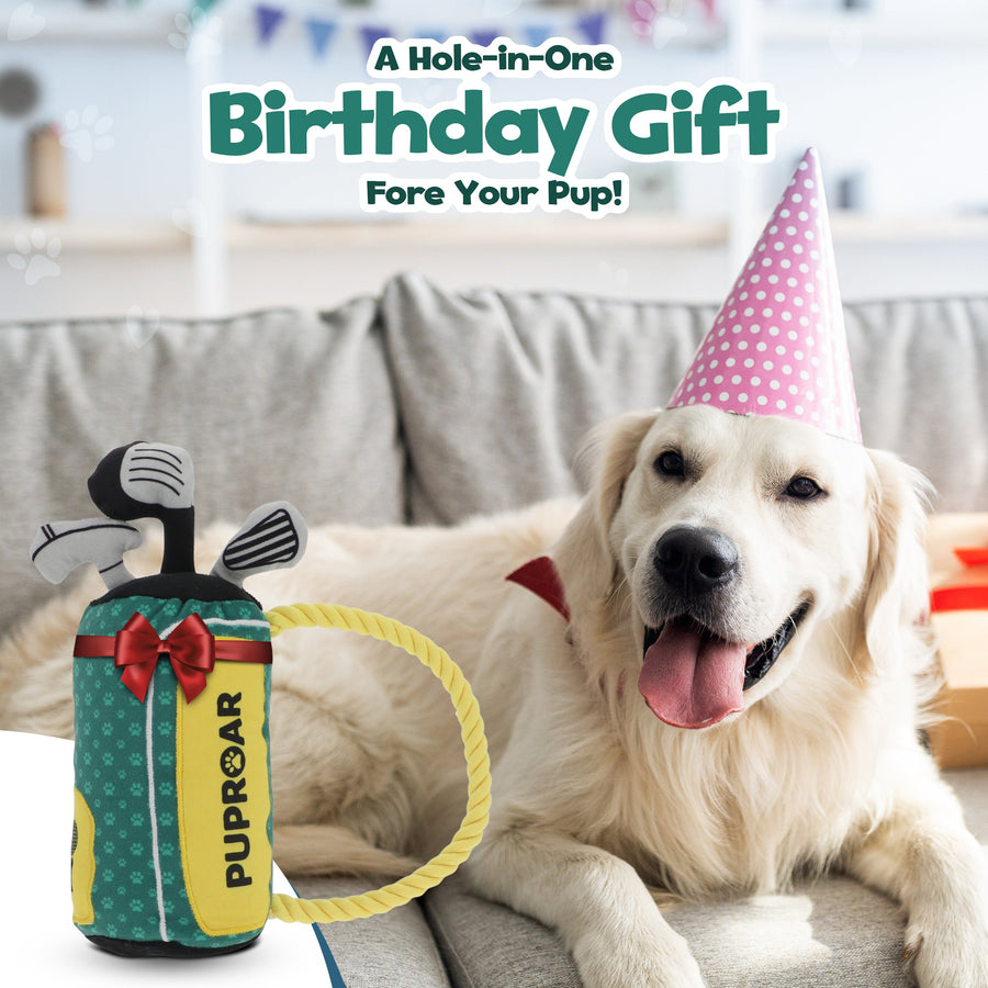 [New] PUPROAR Golf Squeaky Plush Dog Toy