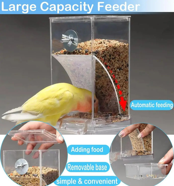 No Mess Automatic Bird Feeder