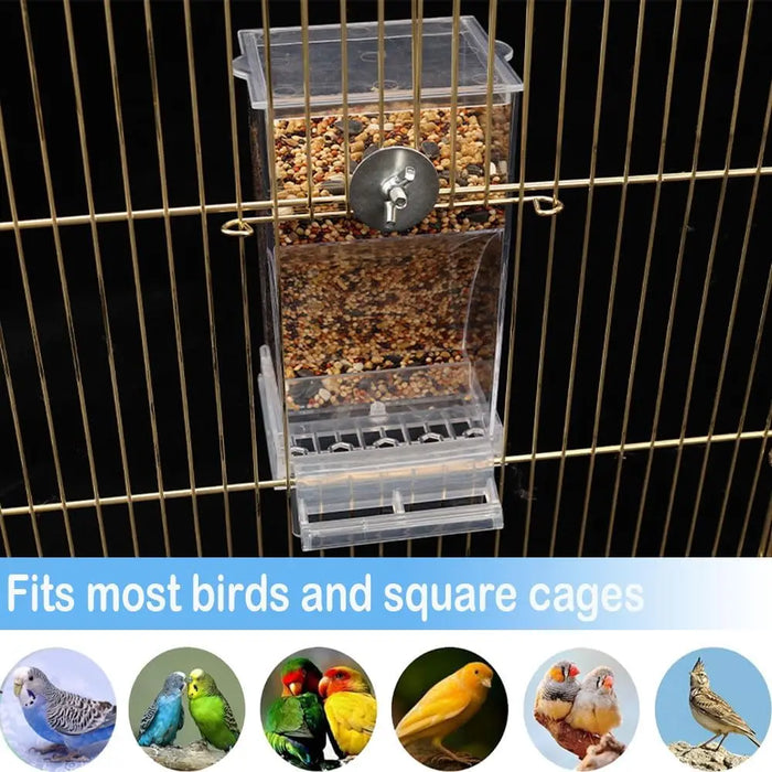 No Mess Automatic Bird Feeder