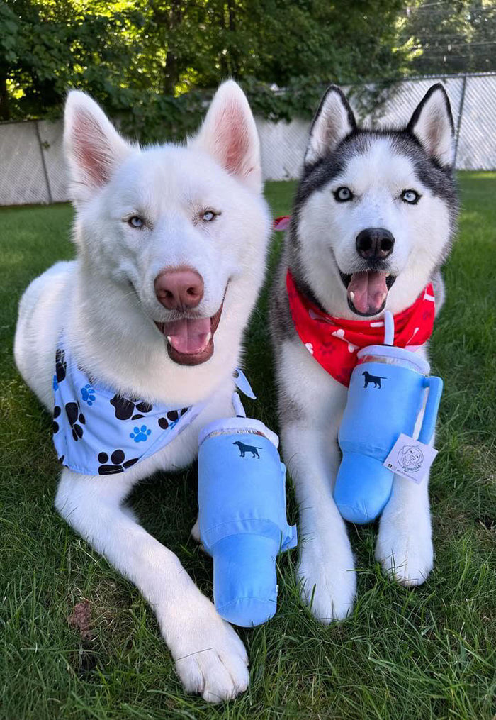 [New] PUPROAR Pup Cup Tumbler Squeaky Plush Dog Toy