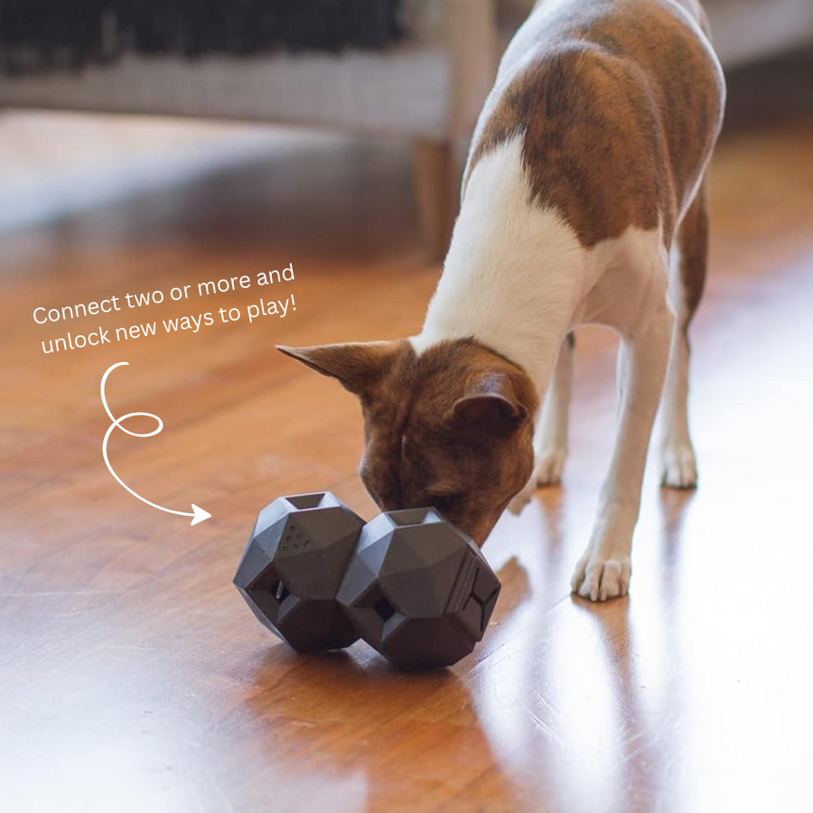 [New] The Odin Treat Dispensing Toy