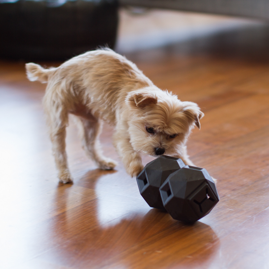[New] The Odin Treat Dispensing Toy