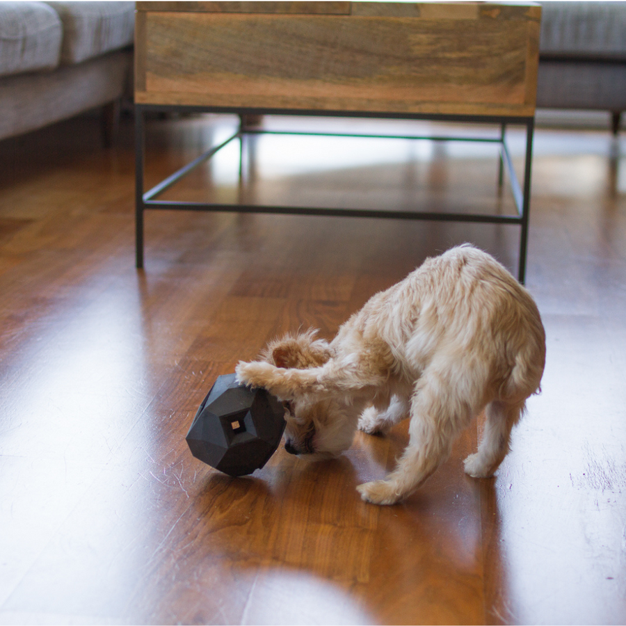 [New] The Odin Treat Dispensing Toy