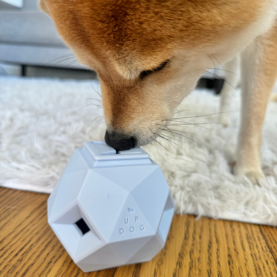 [New] The Odin Treat Dispensing Toy